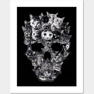 Cat Skull Facts Posters and Art